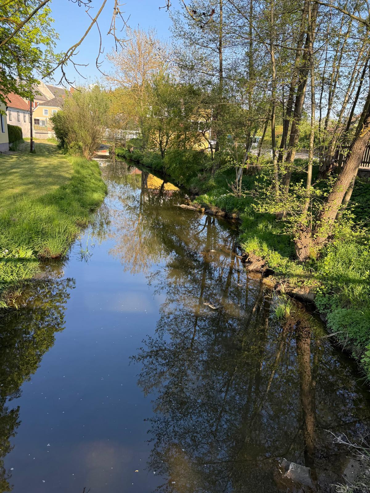 Bach und grüne Wiesen bei der Gauguschmühle
